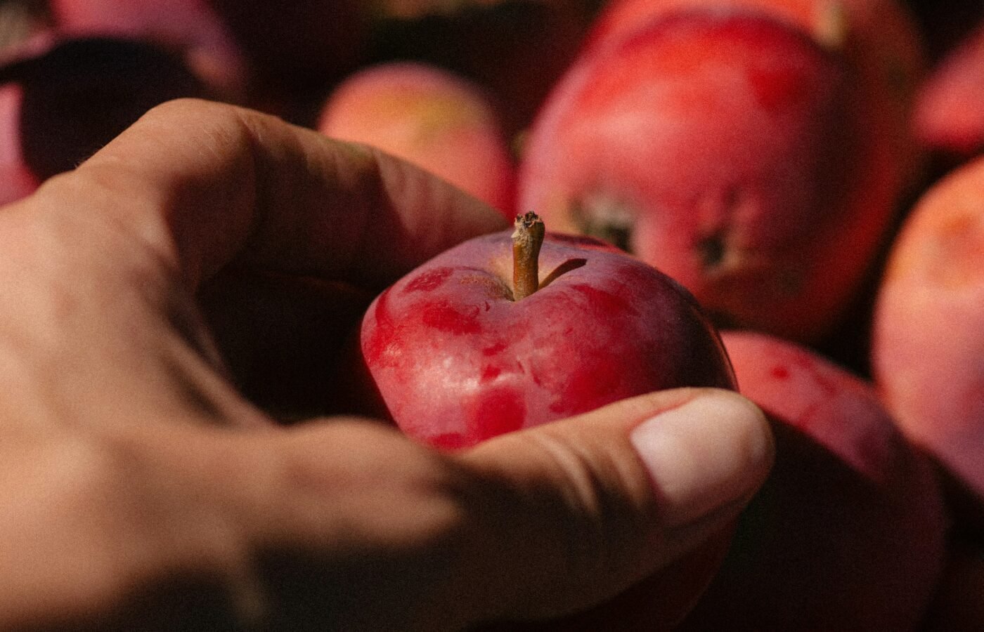The Complete Beginner’s Guide to Whole Foods