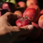 The Complete Beginner’s Guide to Whole Foods