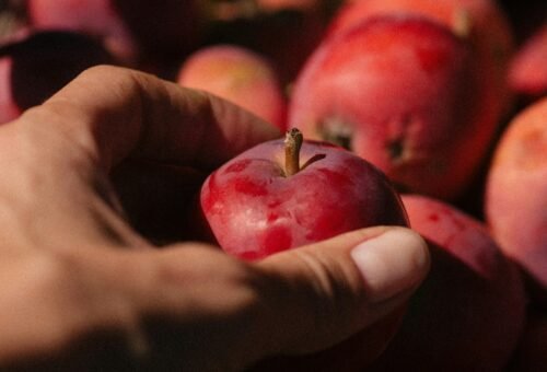 The Complete Beginner’s Guide to Whole Foods